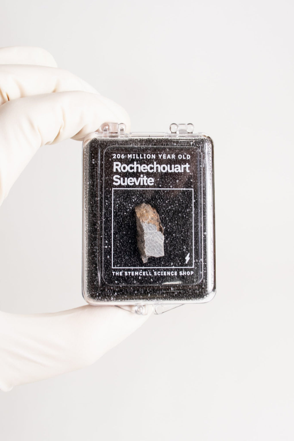 Suevite Fragment, Default Title at Stemcell Science Shop