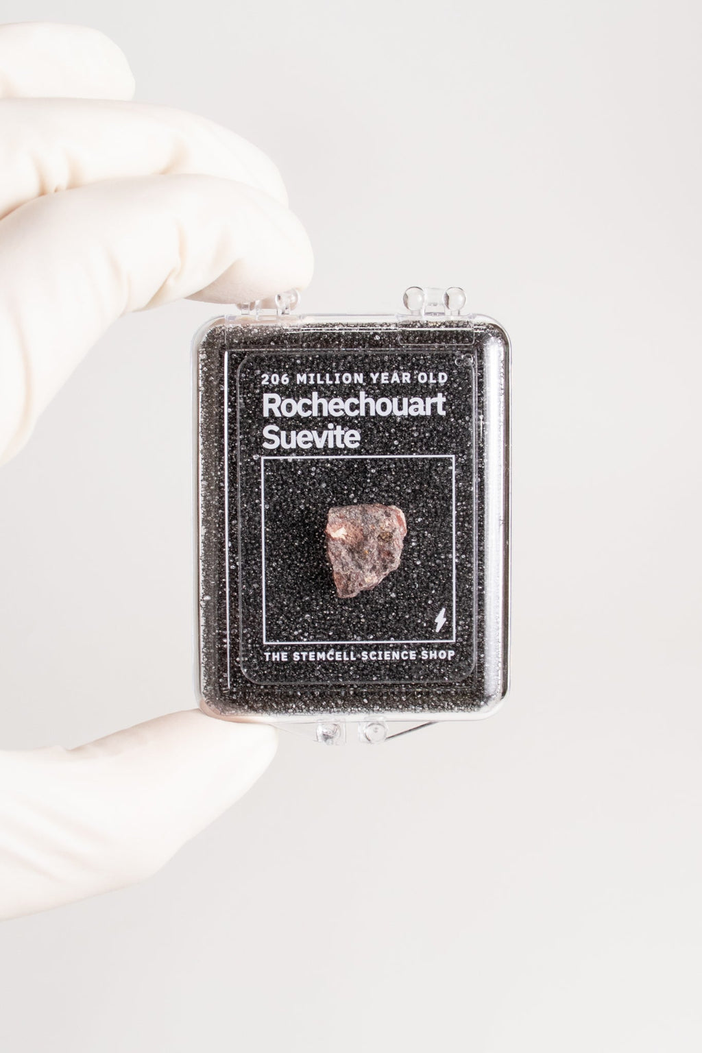Suevite Fragment, Default Title at Stemcell Science Shop