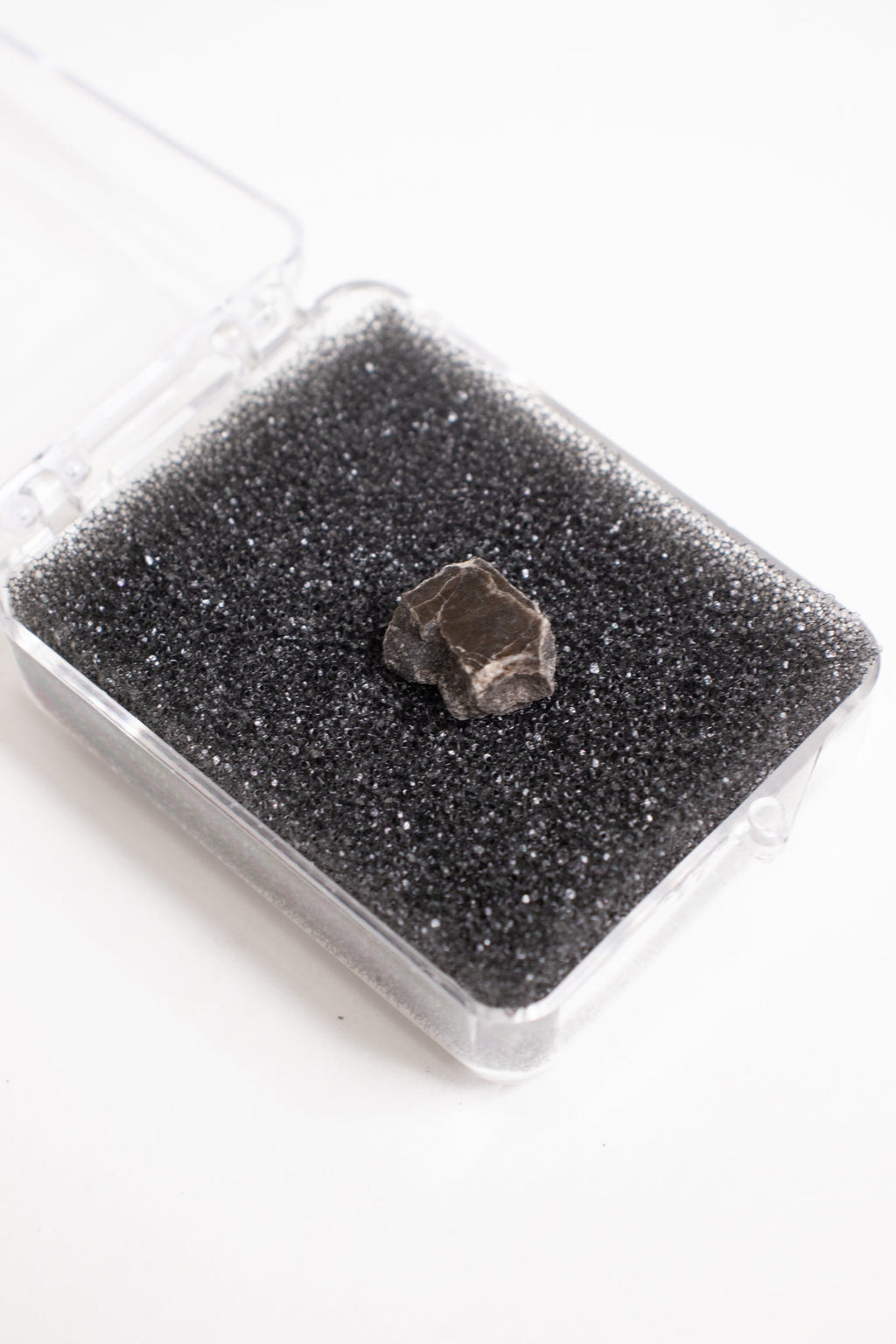 Suevite Fragment, Default Title at Stemcell Science Shop