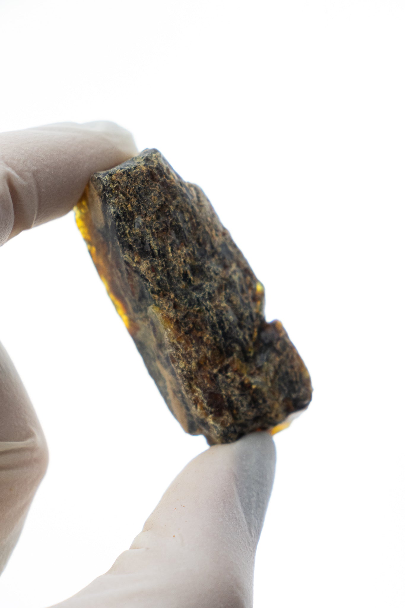 Sumatran Amber Rocks & Minerals Stemcell Science Shop