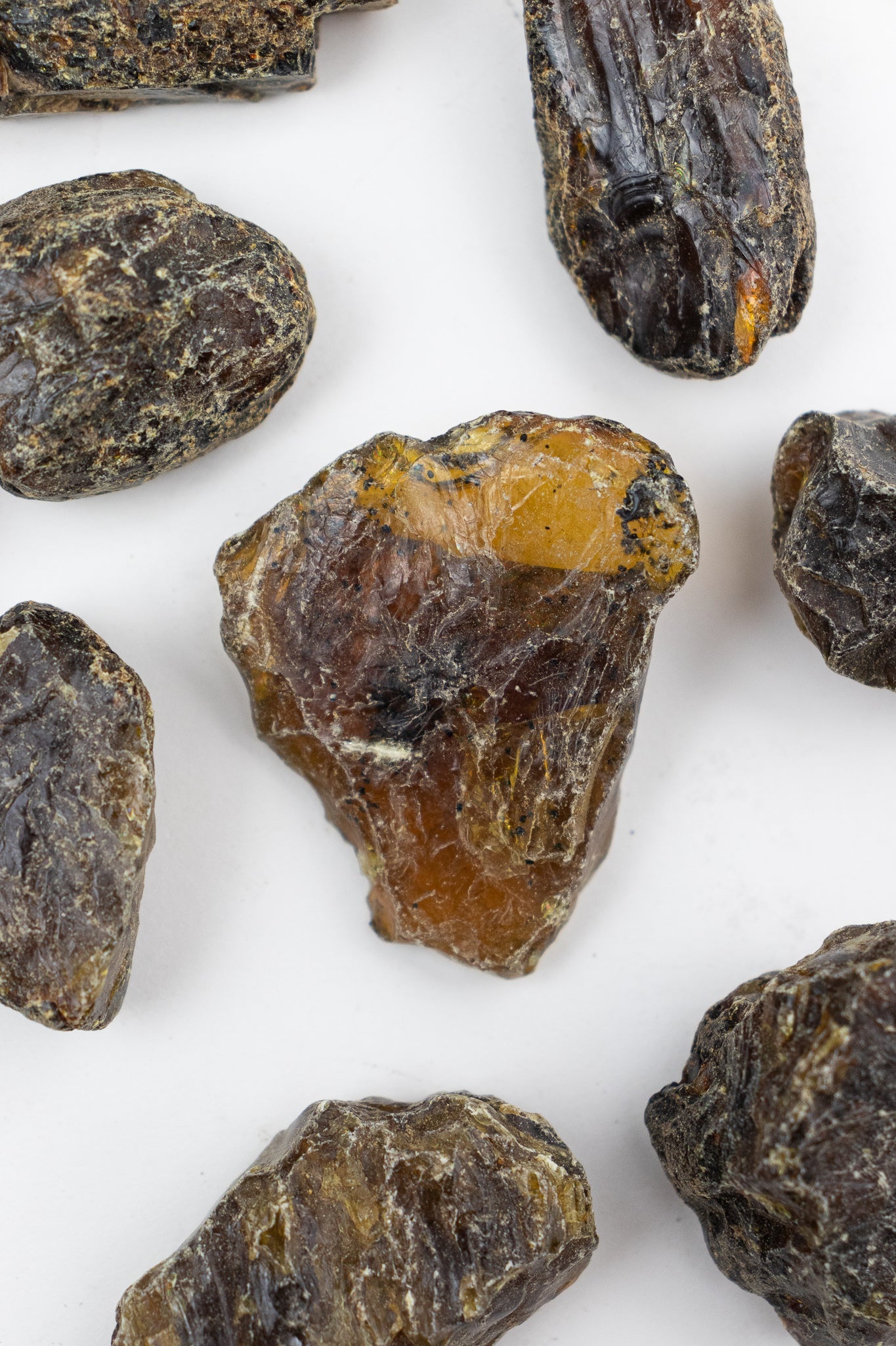 Sumatran Amber Rocks & Minerals Stemcell Science Shop