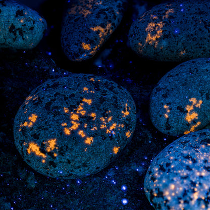 Shining Syenite - UV Glow Rocks