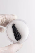 Tektite, One Large at Stemcell Science Shop
