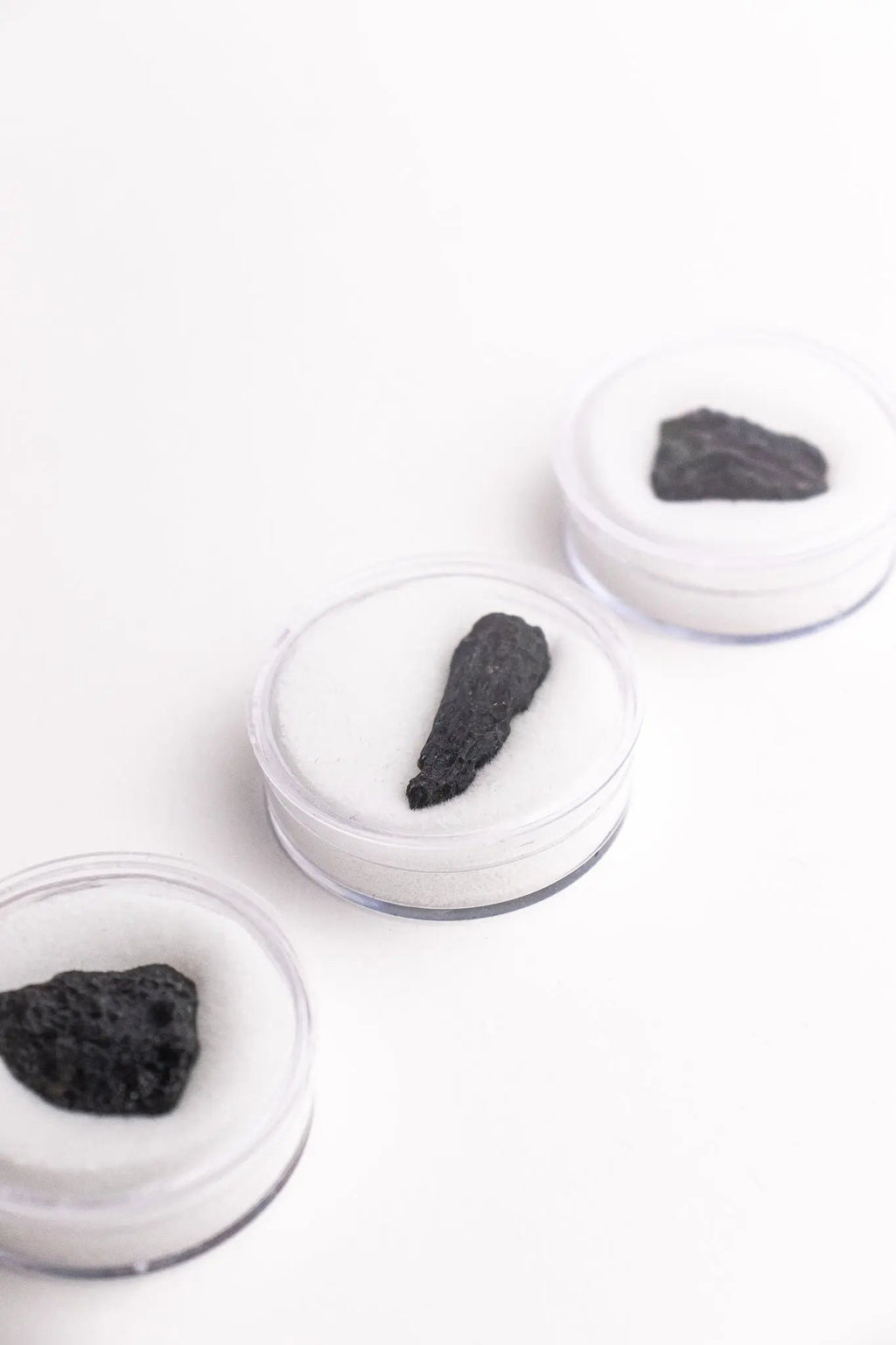 Tektite, One Large at Stemcell Science Shop