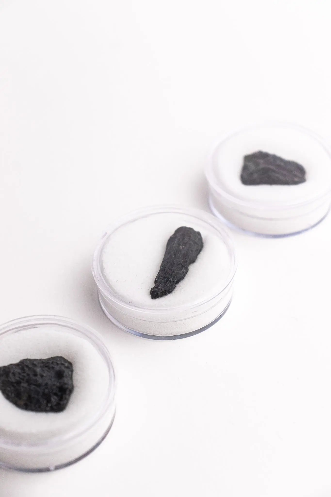 Tektite, One Large at Stemcell Science Shop