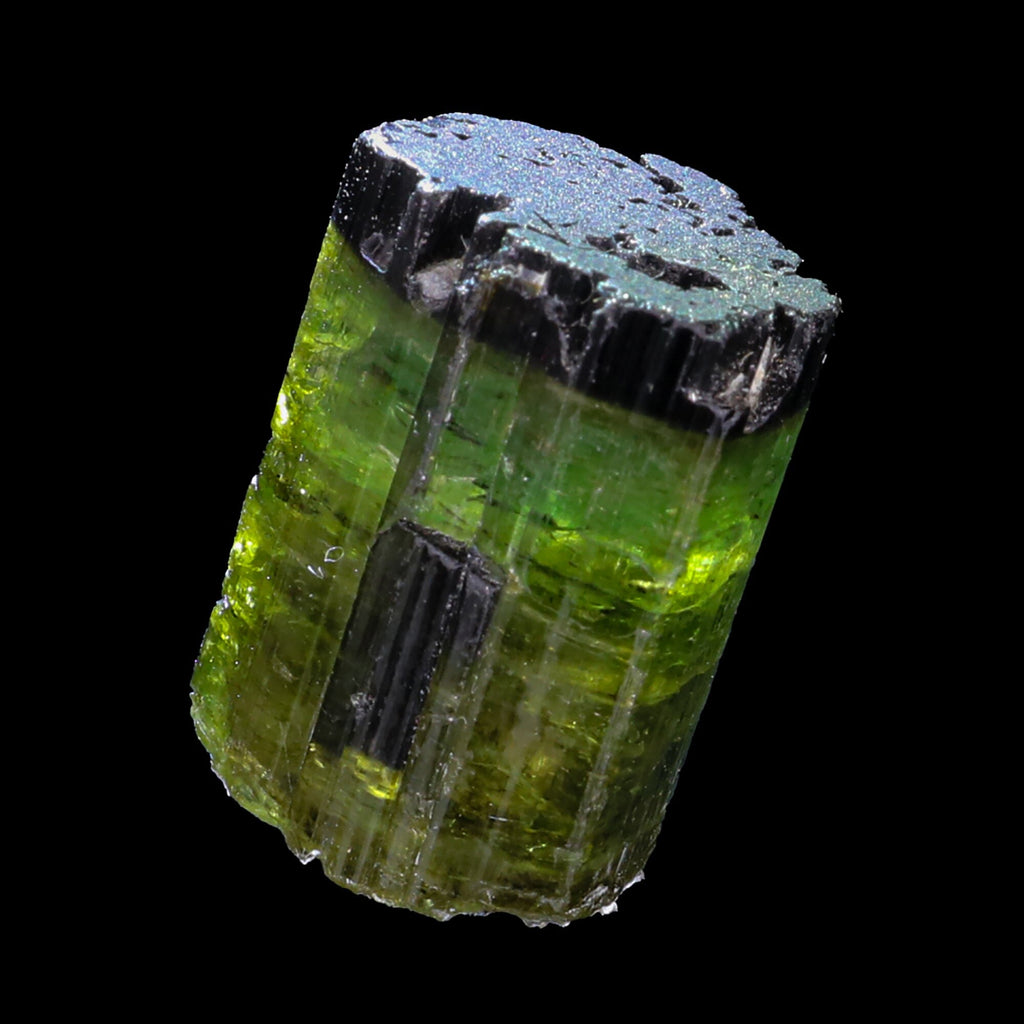Terminated Deep Green Tourmaline Natural Mineral Specimen, Default Title at Stemcell Science Shop
