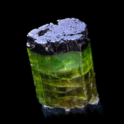 Terminated Deep Green Tourmaline Natural Mineral Specimen, Default Title at Stemcell Science Shop