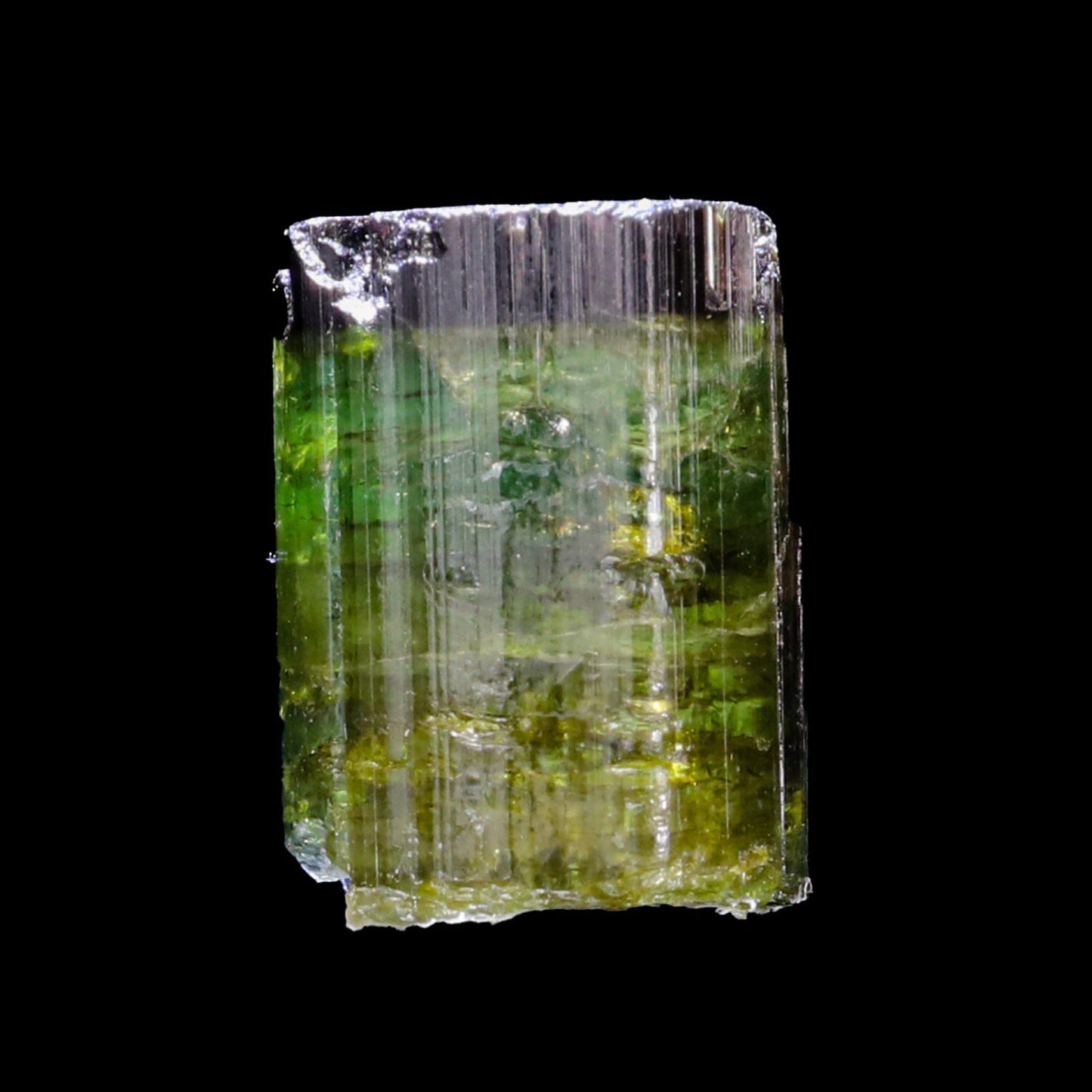 Terminated Deep Green Tourmaline Natural Mineral Specimen, Default Title at Stemcell Science Shop