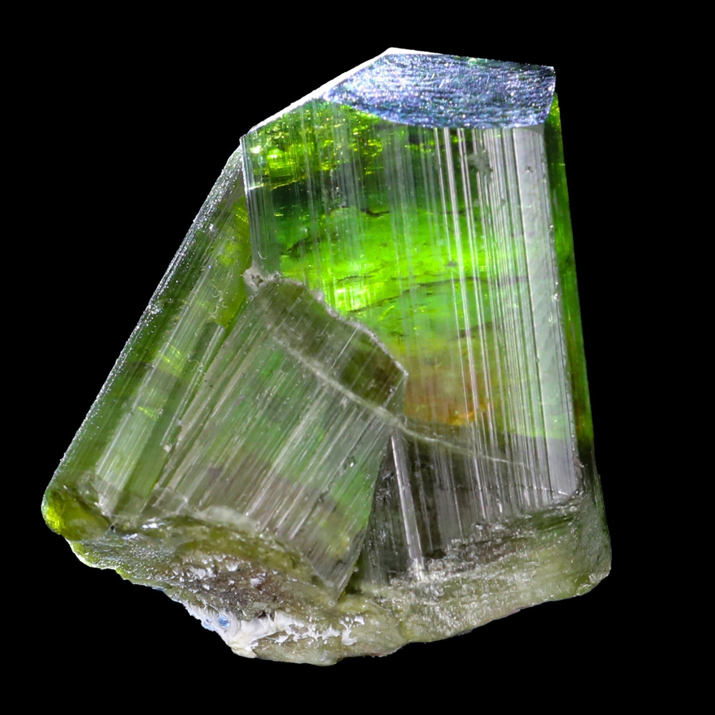 Terminated Deep Green Tourmaline Natural Mineral Specimen, Default Title at Stemcell Science Shop