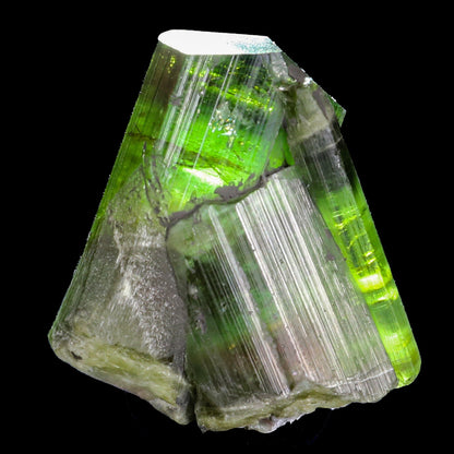 Terminated Deep Green Tourmaline Natural Mineral Specimen, Default Title at Stemcell Science Shop