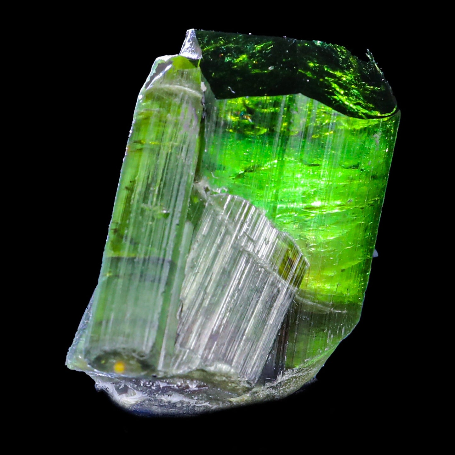 Terminated Deep Green Tourmaline Natural Mineral Specimen, Default Title at Stemcell Science Shop