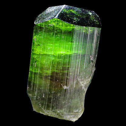 Terminated Deep Green Tourmaline Natural Mineral Specimen, Default Title at Stemcell Science Shop