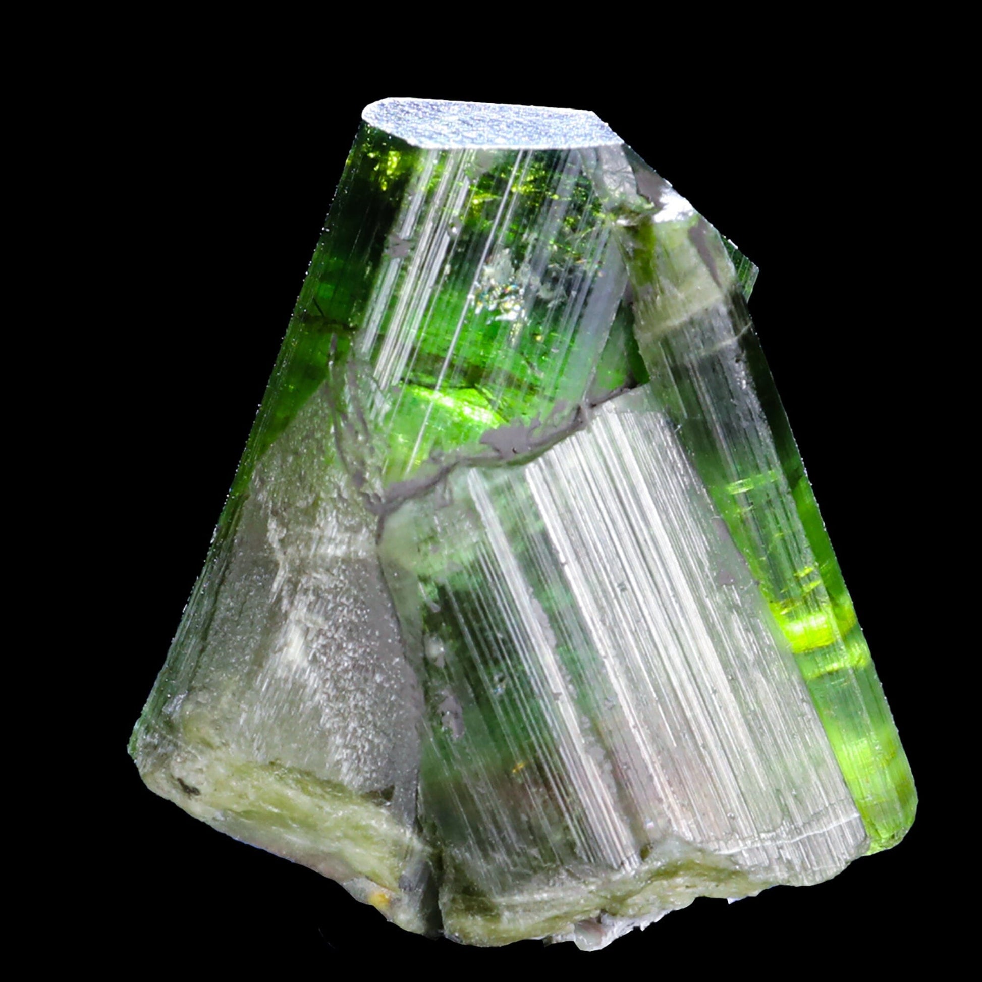 Terminated Deep Green Tourmaline Natural Mineral Specimen, Default Title at Stemcell Science Shop