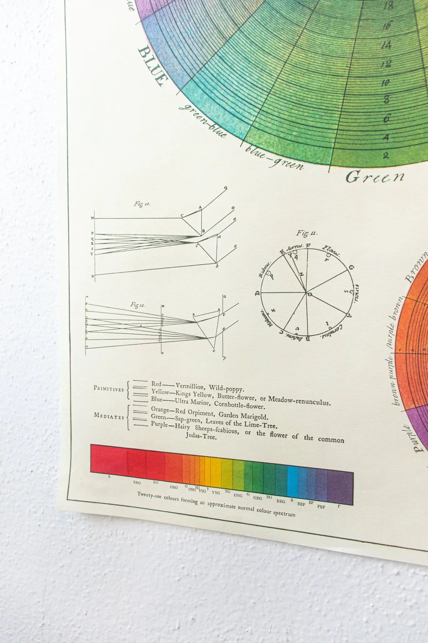 The System of Colors Scientific Chart - Charts from Stemcell Science Shop