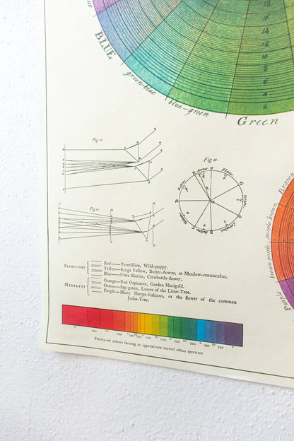 The System of Colors Scientific Chart - Charts from Stemcell Science Shop