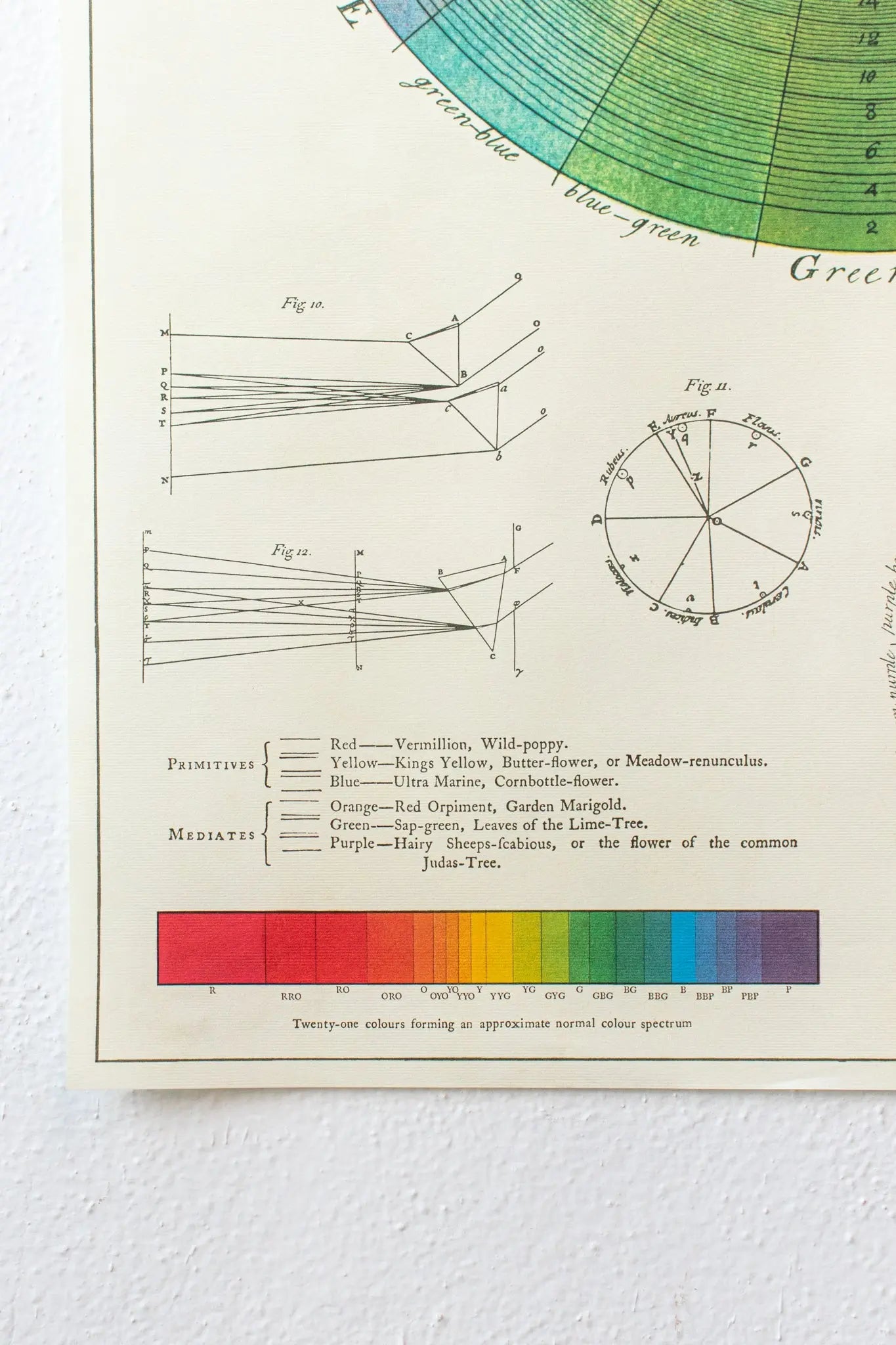 The System of Colors Scientific Chart - Charts from Stemcell Science Shop