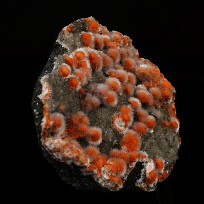 Thomsonite Orange with Mesolite and Heulandite - *Rare Find* Free Standing, Natural Mineral Specimen # B 5965 Museum