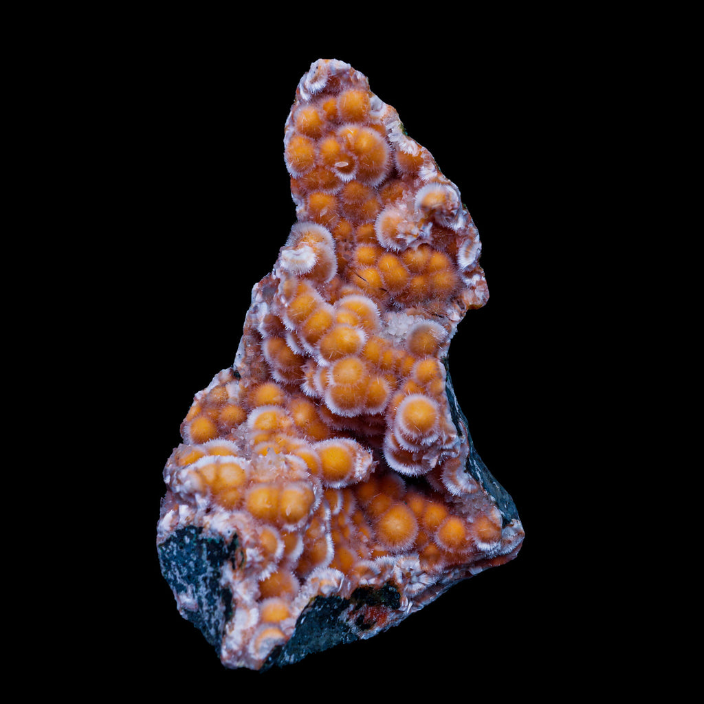 Thomsonite With Mesolite Natural Mineral Specimen, Default Title at Stemcell Science Shop