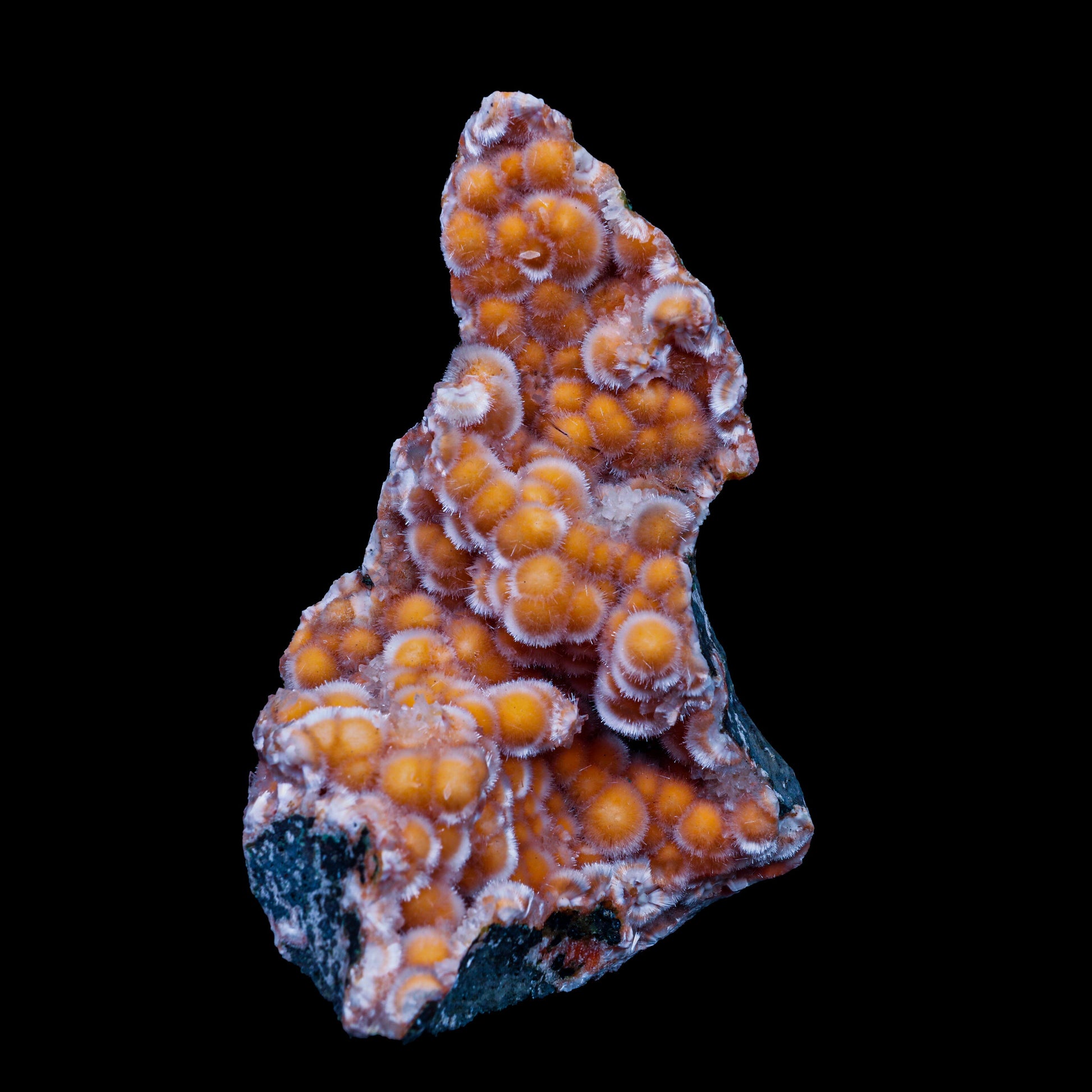 Thomsonite With Mesolite Natural Mineral Specimen, Default Title at Stemcell Science Shop