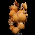 Thomsonite with Stilbite Rare Find Natural Mineral Specimen # B 6441