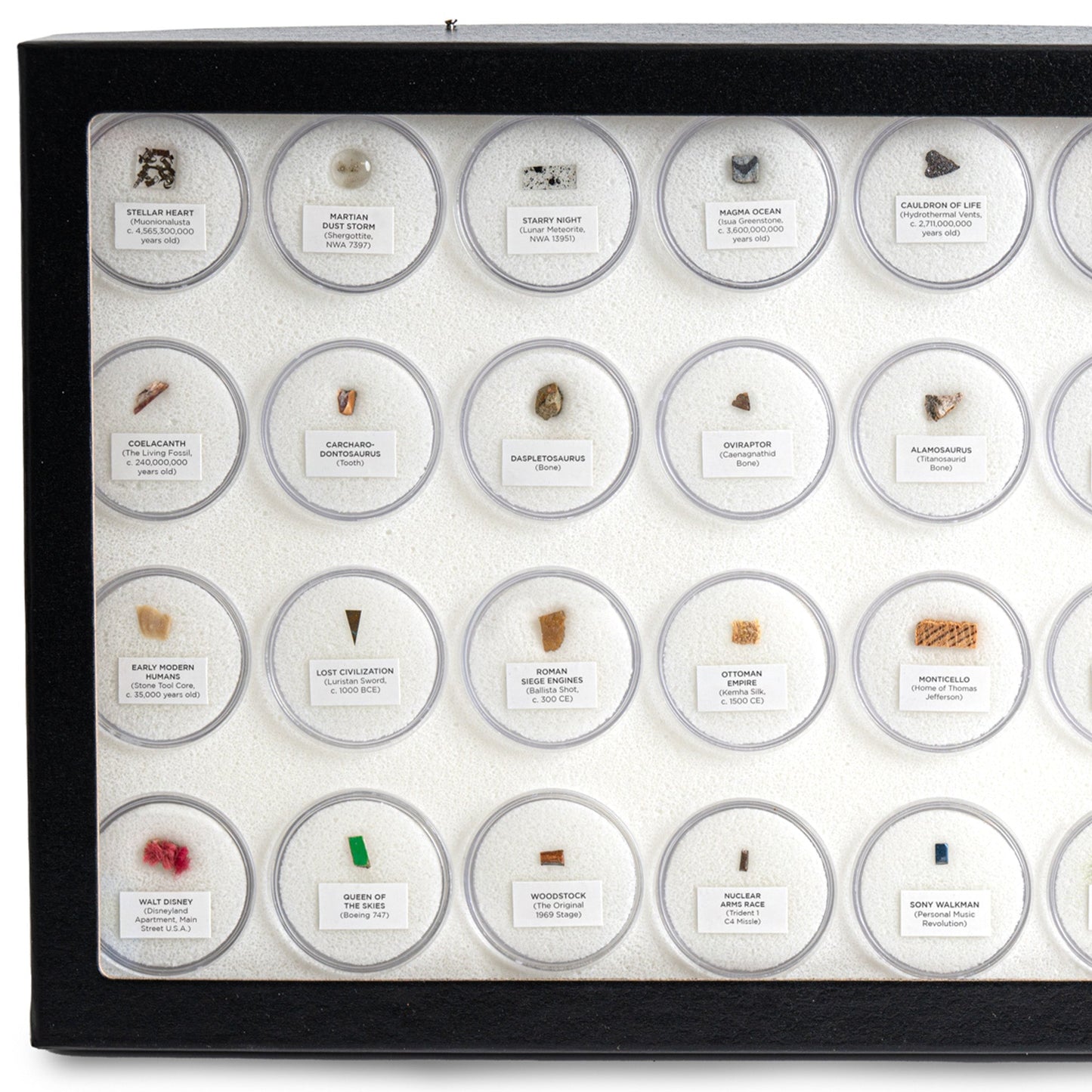 Mini Museum - Fifth Edition (TOUCH - 34 Specimens)