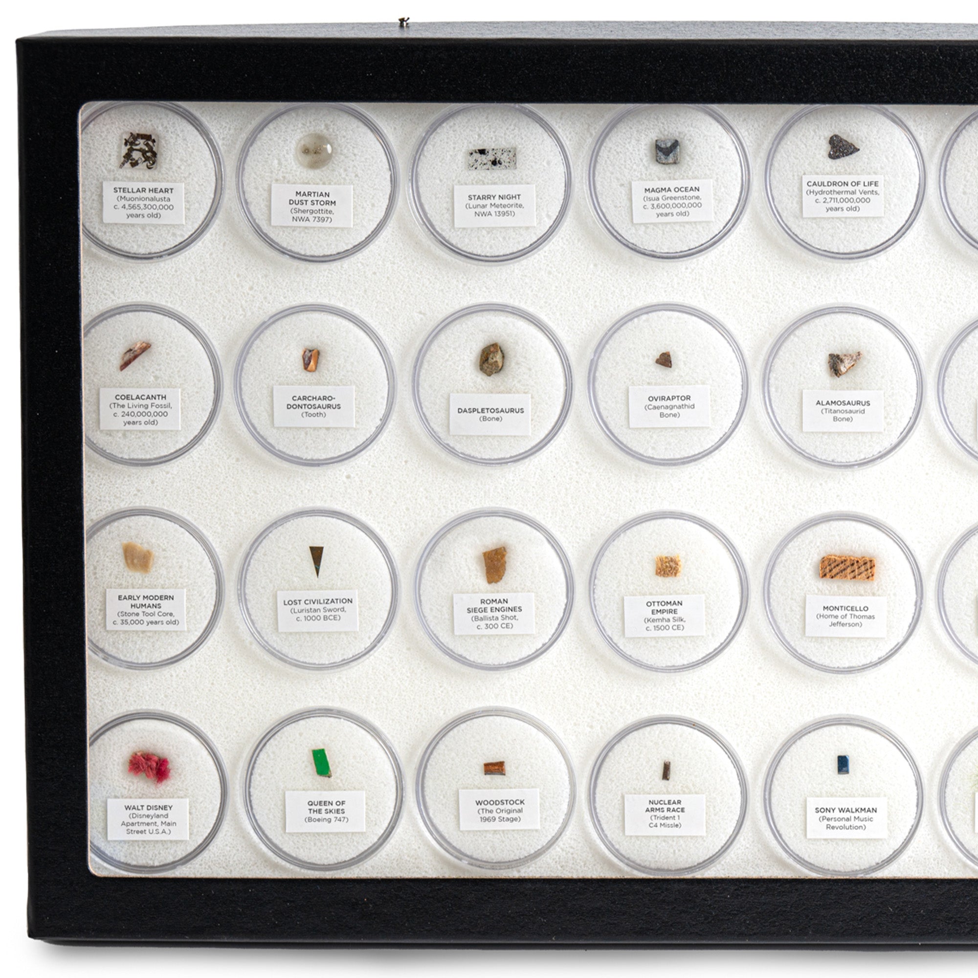 Mini Museum - Fifth Edition (TOUCH - 34 Specimens)