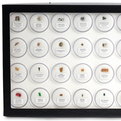 Mini Museum - Fifth Edition (TOUCH - 34 Specimens)