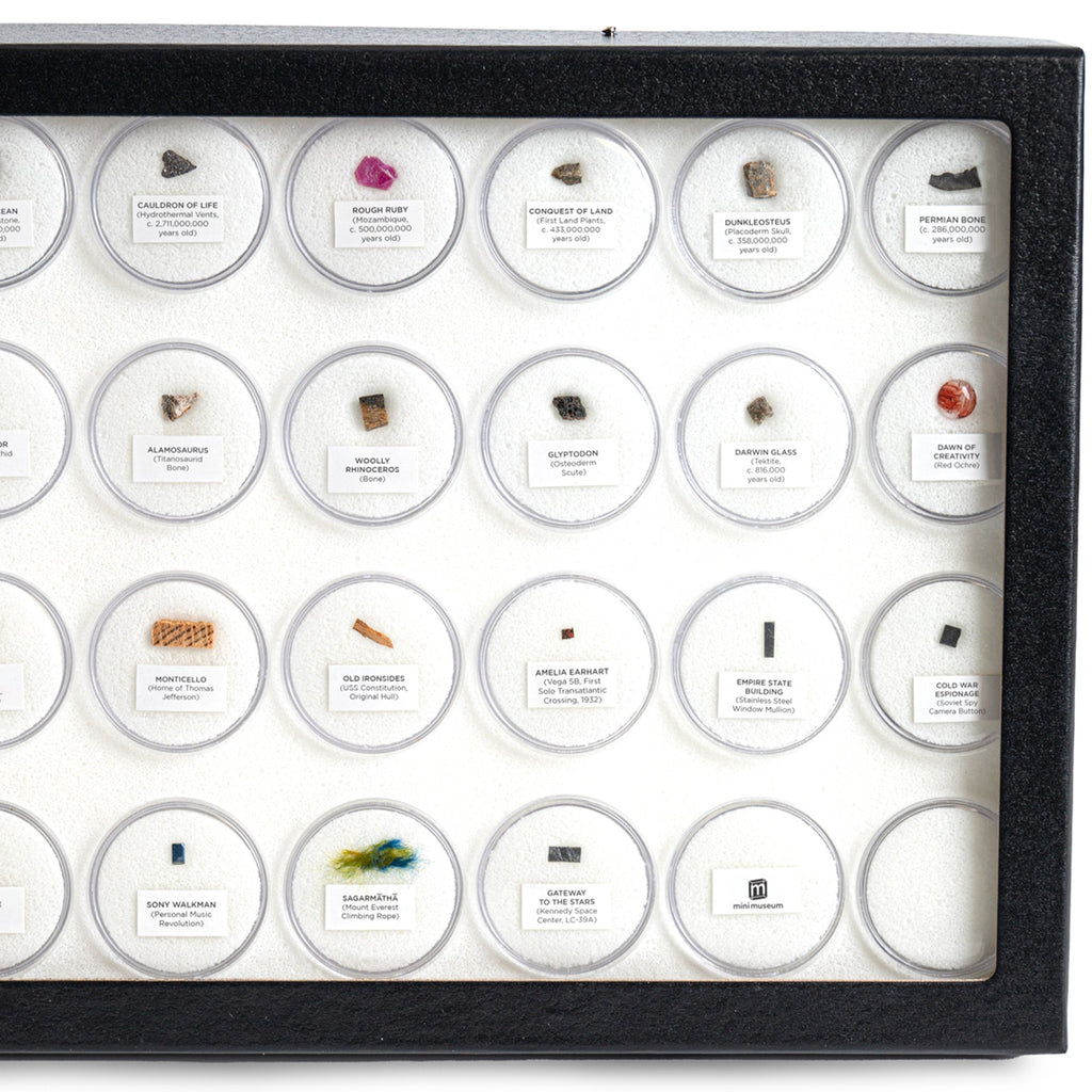 Mini Museum - Fifth Edition (TOUCH - 34 Specimens)