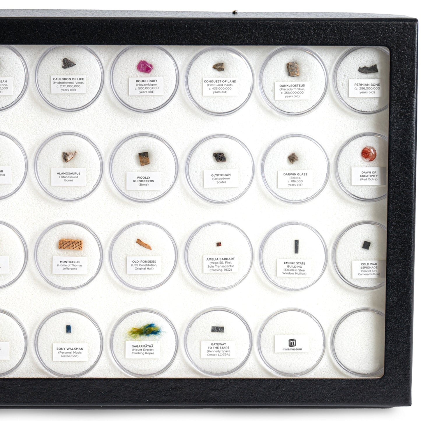 Mini Museum - Fifth Edition (TOUCH - 34 Specimens)