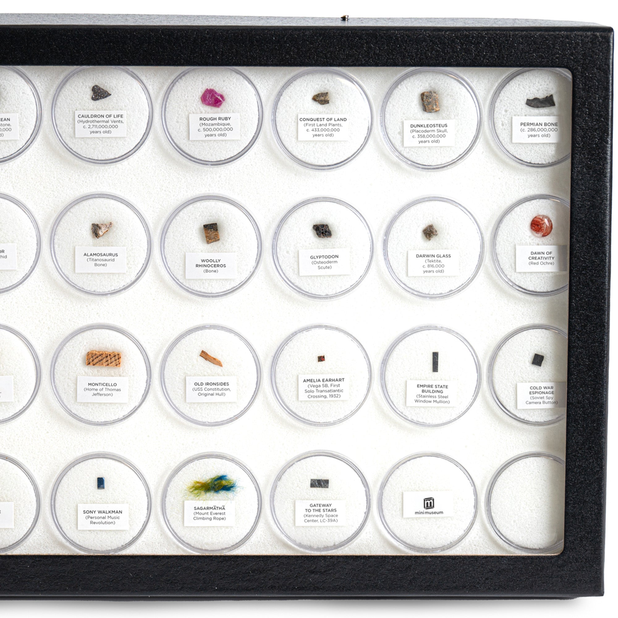 Mini Museum - Fifth Edition (TOUCH - 34 Specimens)
