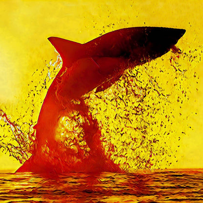 Fossil White Shark Tooth