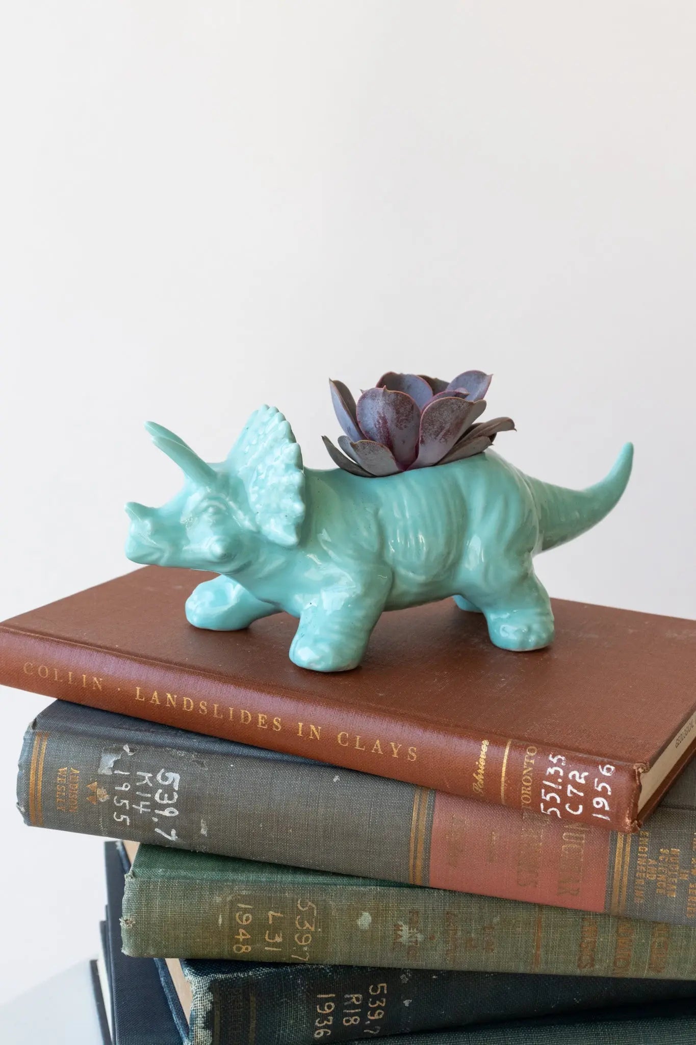 Triceratops Dinosaur Planter - Teal Household Stemcell Science Shop