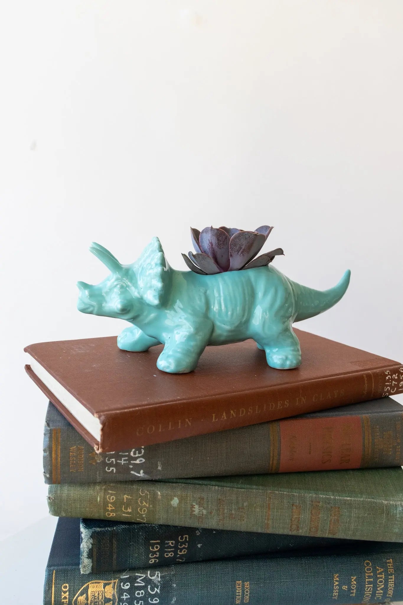 Triceratops Dinosaur Planter - Teal Household Stemcell Science Shop