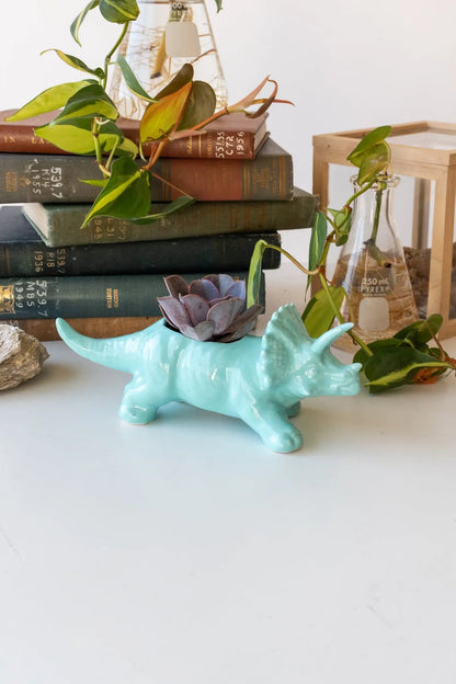 Triceratops Dinosaur Planter - Teal Household Stemcell Science Shop