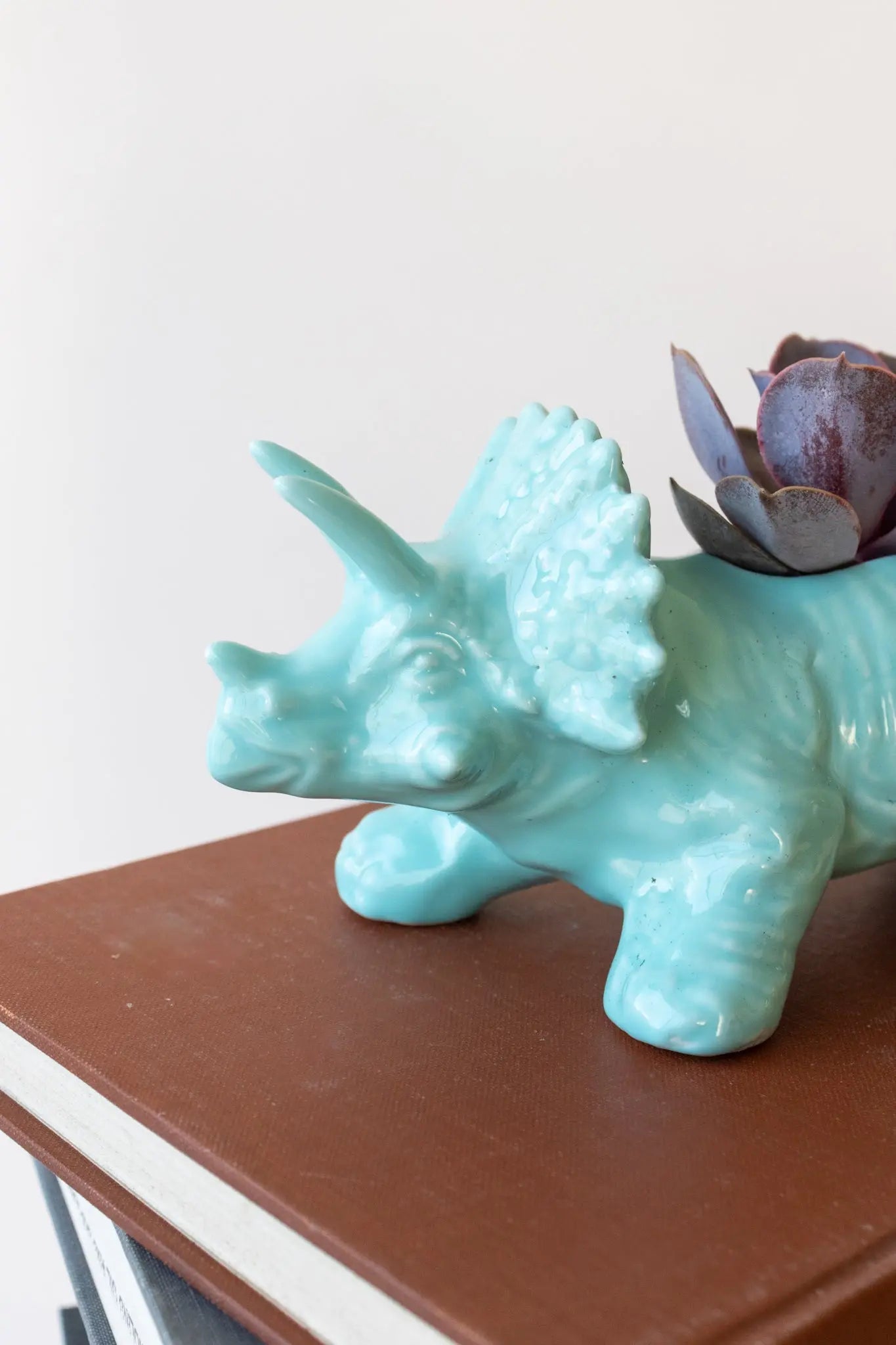 Triceratops Dinosaur Planter - Teal Household Stemcell Science Shop