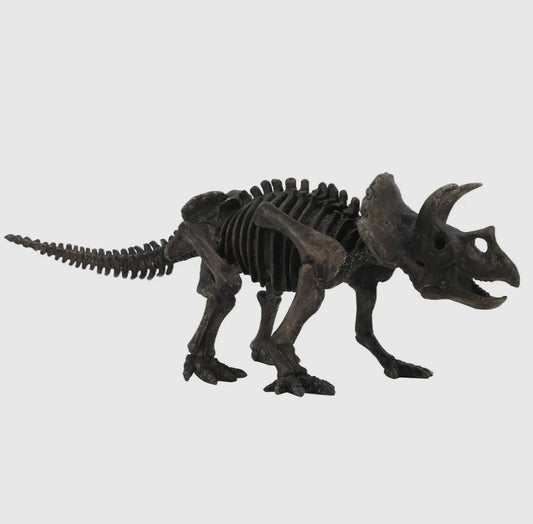 Triceratops Mini Skeleton Dinosaur Fossil Replica - Fossil from Stemcell Science Shop