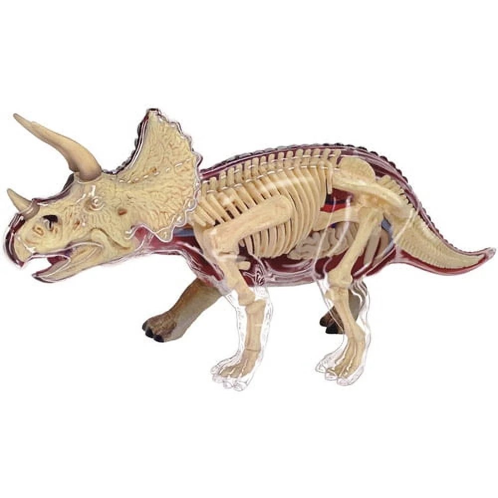 Triceratops Model Stemcell Science Shop