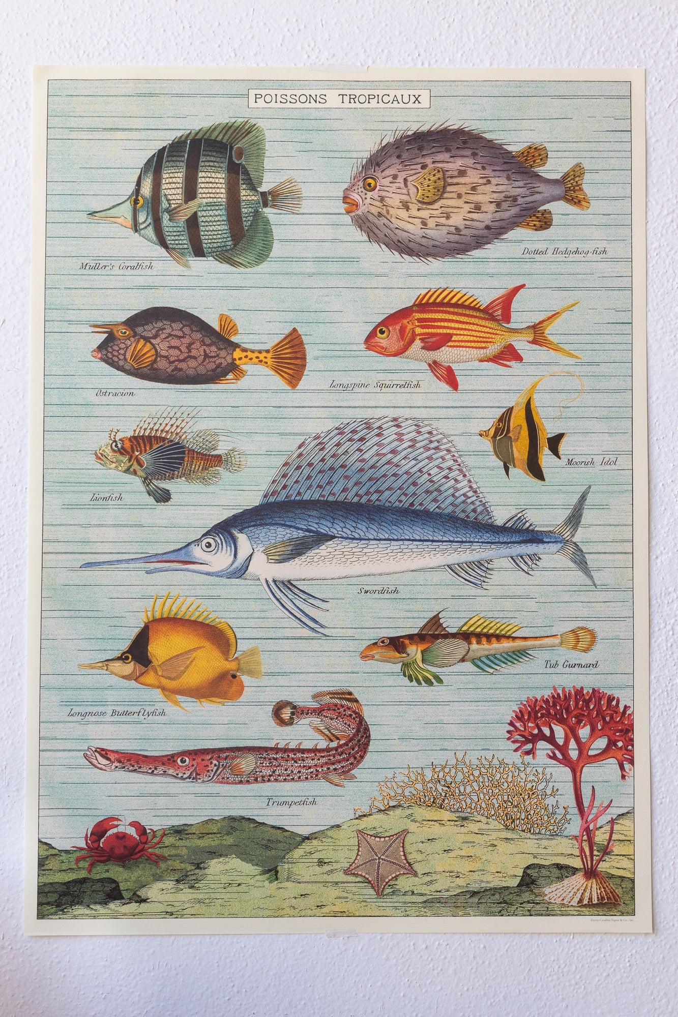 Tropical Fish Chart Charts Stemcell Science Shop