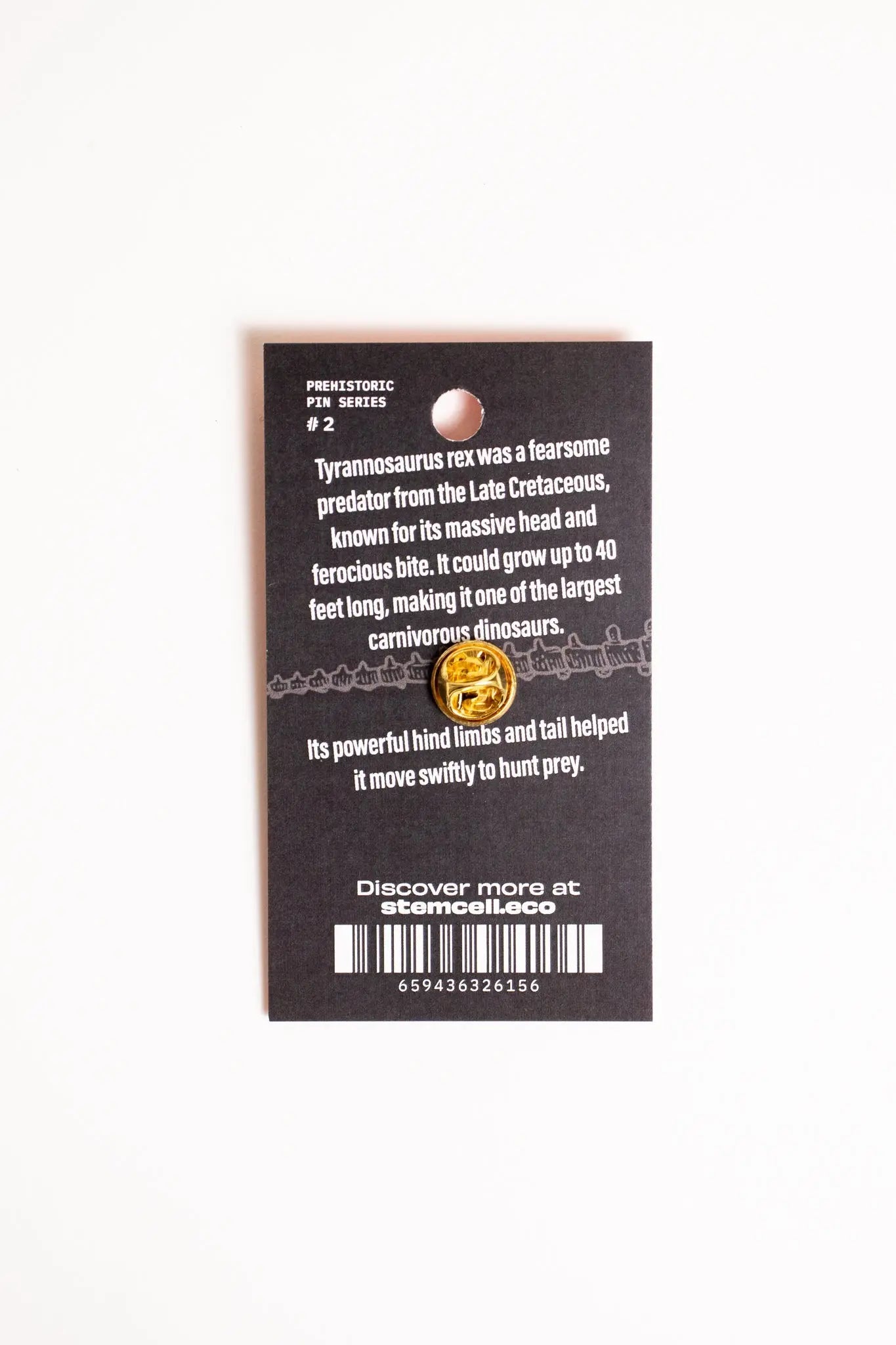 Tyrannosaurus Rex Enamel Pin, Default Title at Stemcell Science Shop