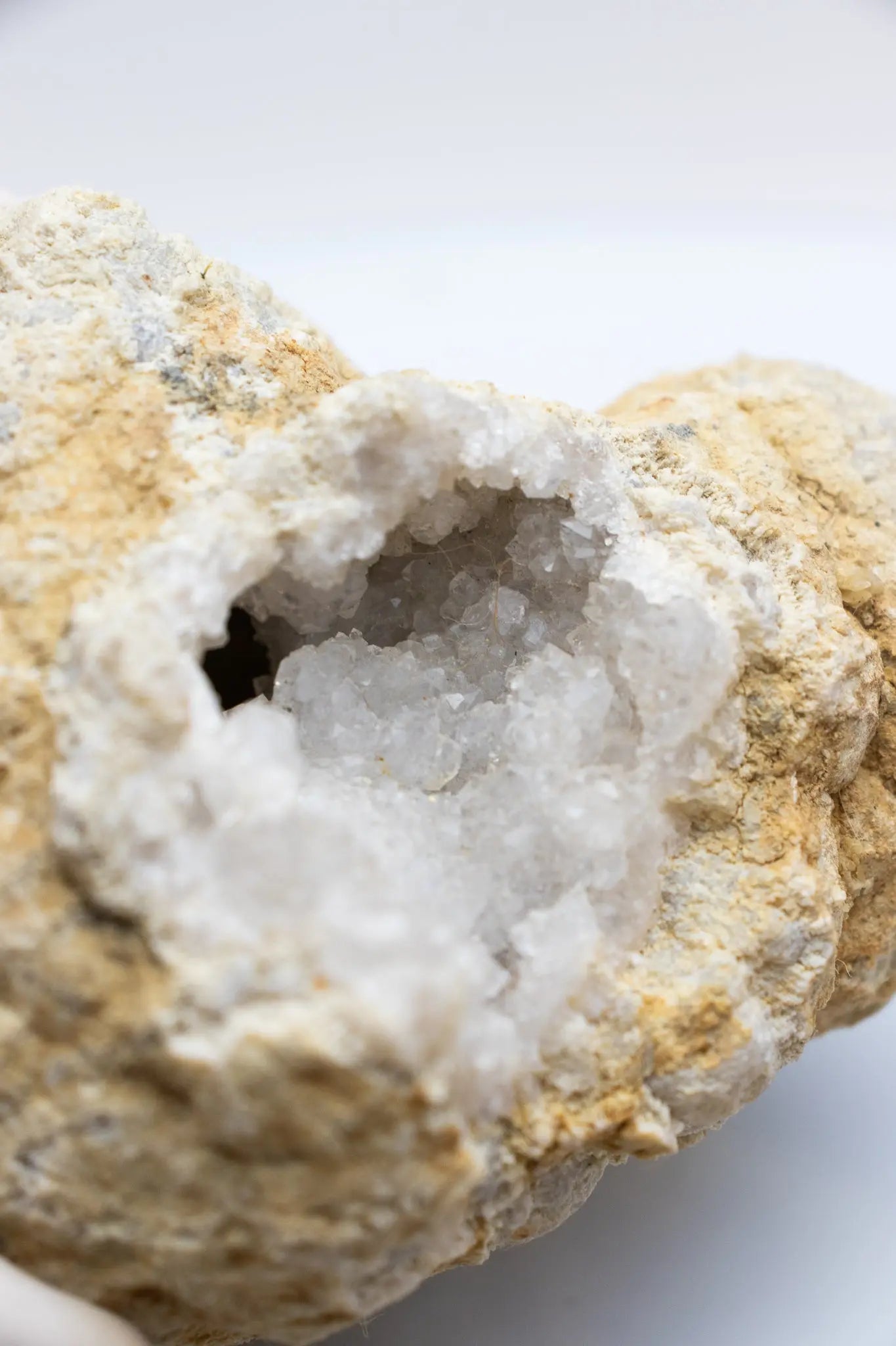 Unbroken Geode Rocks & Minerals Stemcell Science Shop