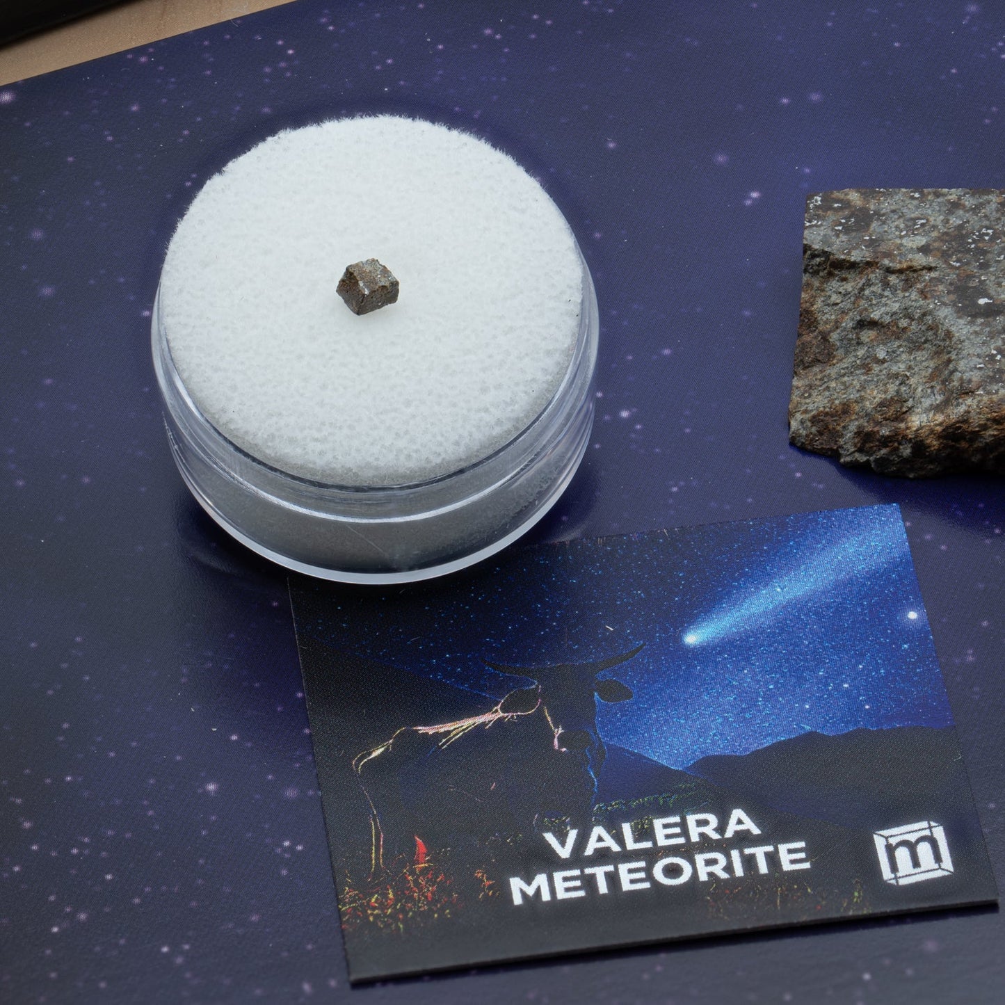 Valera "Cow Killer" Meteorite