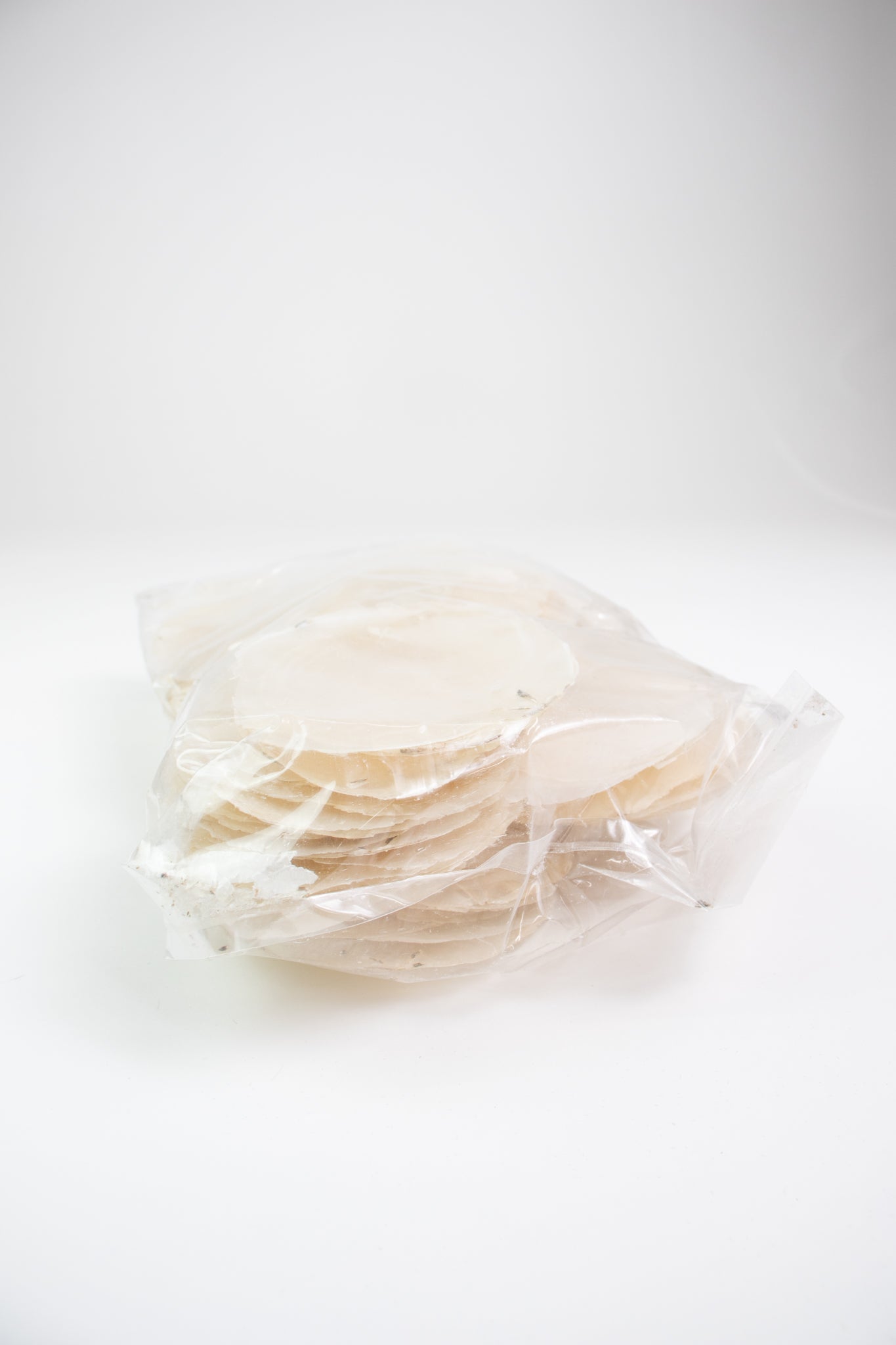 Windowpane Oyster Shells - Bulk Stemcell Science Shop