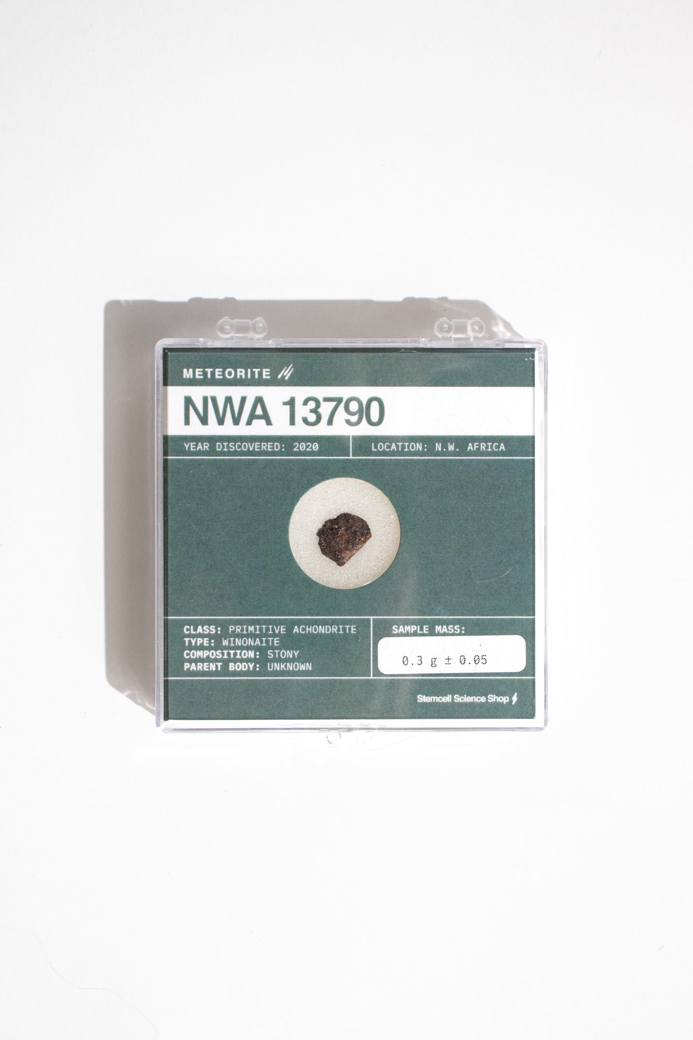 Winonite Meteorite (NWA 13790) Meteorites Stemcell Science Shop