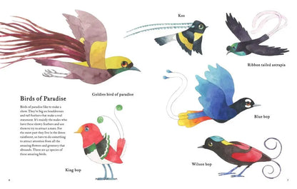 The Atlas of Amazing Birds