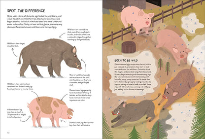 Pigology: The Ultimate Encyclopedia