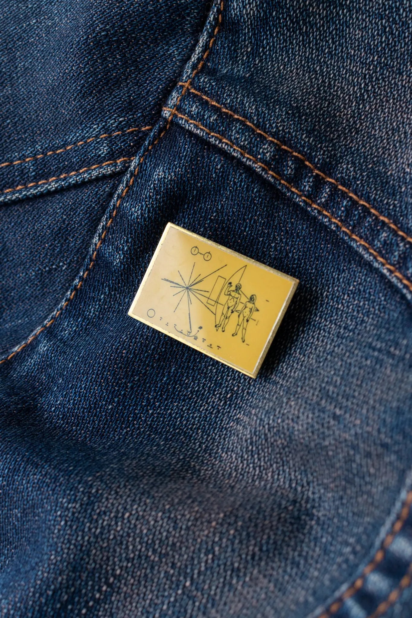 Pioneer Plaque Pin - Stemcell Science Shop