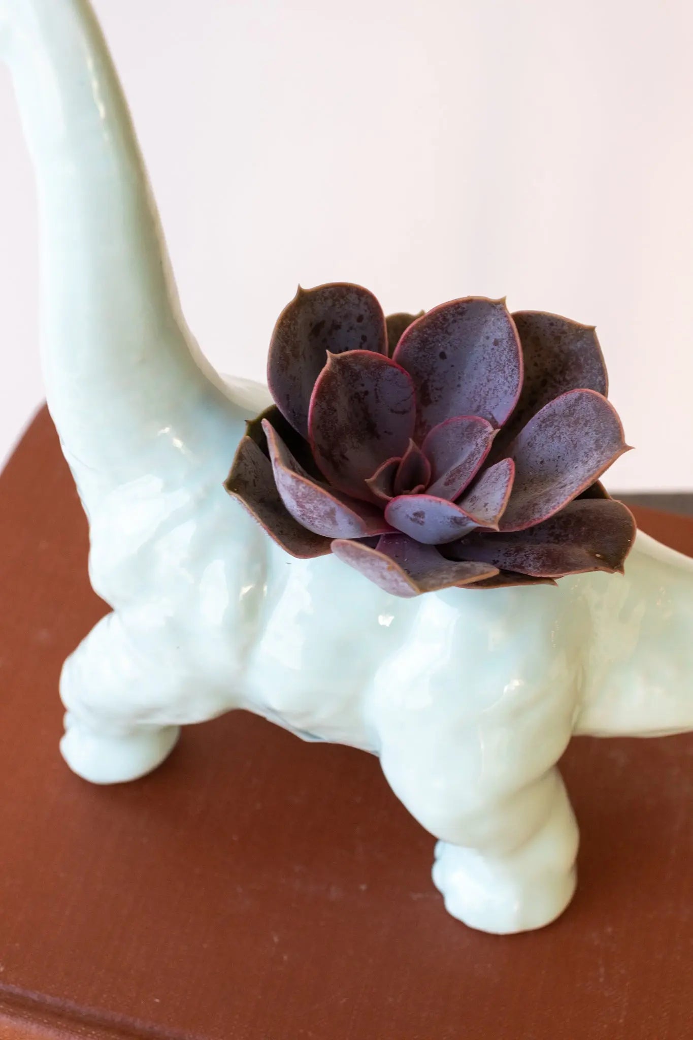 Light blue Dinosaur Diplodocus Planter - Stemcell Science Shop