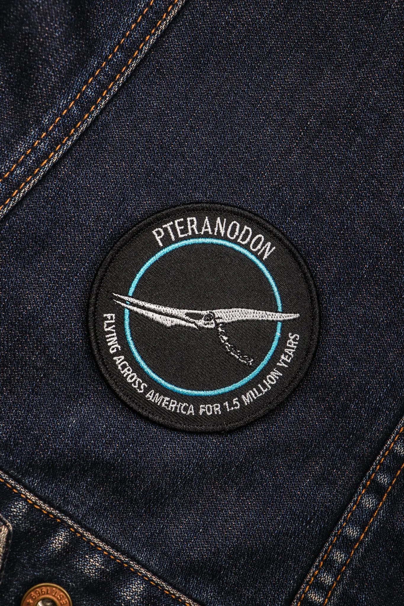 Pteranodon Patch - Stemcell Science Shop
