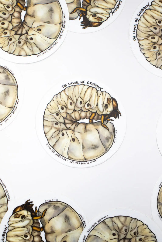 Hercules Beetle Larva Sticker - THE STEMCELL SCIENCE SHOP
