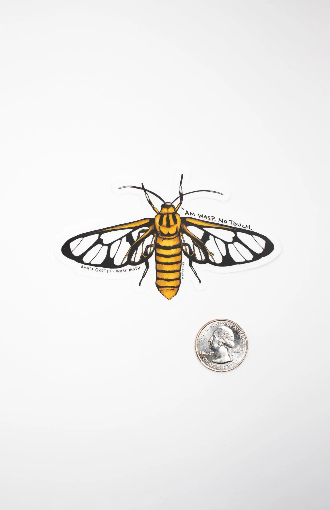 Wasp Moth Translucent Sticker - Stemcell Science Shop
